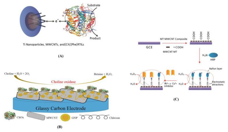 https://cdn.ncbi.nlm.nih.gov/pmc/blobs/bf38/9953396/ea38edc2cf9a/biosensors-13-00183-g005.jpg