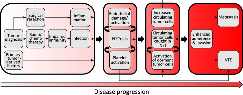 https://cdn.ncbi.nlm.nih.gov/pmc/blobs/bf40/6921561/82e1c1aef086/13058_2019_1237_Fig2_HTML.jpg