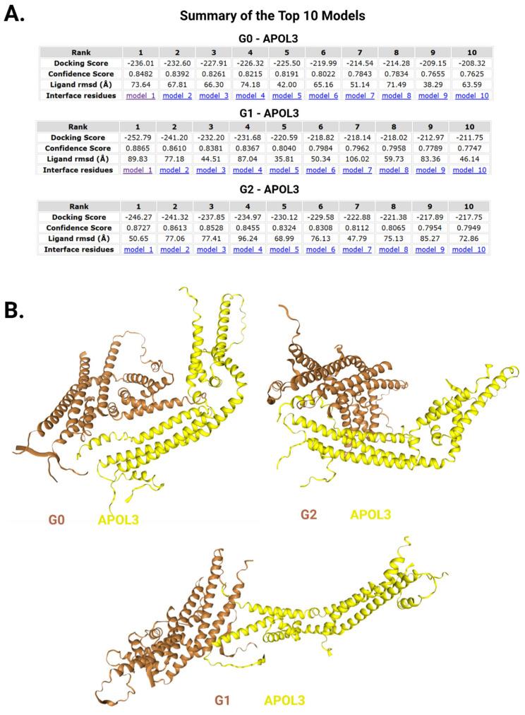 https://cdn.ncbi.nlm.nih.gov/pmc/blobs/bf4b/12248677/15b796337584/cells-14-01011-g008.jpg