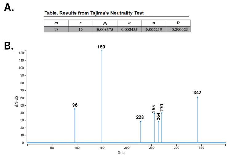 https://cdn.ncbi.nlm.nih.gov/pmc/blobs/bf4b/12248677/cbba4e5b9cc5/cells-14-01011-g005a.jpg