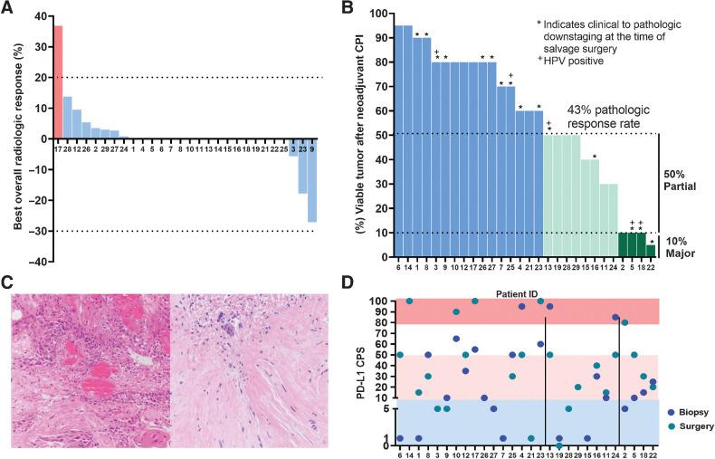 https://cdn.ncbi.nlm.nih.gov/pmc/blobs/bf4d/9401515/05a036dcd3e3/468fig2.jpg