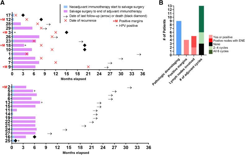 https://cdn.ncbi.nlm.nih.gov/pmc/blobs/bf4d/9401515/8b654e379521/468fig3.jpg