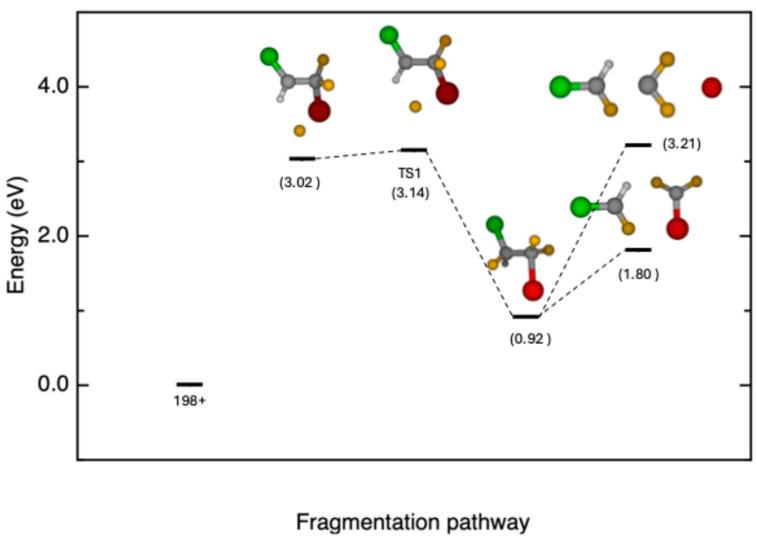 https://cdn.ncbi.nlm.nih.gov/pmc/blobs/bf55/12299474/ae4dacde8b0a/molecules-30-02902-g003.jpg
