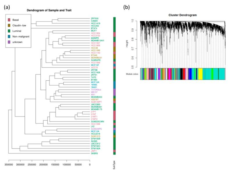 https://cdn.ncbi.nlm.nih.gov/pmc/blobs/bf73/6723760/5e7795157058/jcm-08-01160-g003.jpg