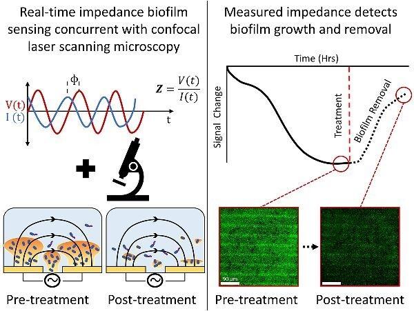 https://cdn.ncbi.nlm.nih.gov/pmc/blobs/bf7c/10485796/3e42c3506d82/kuad022fig1g.jpg