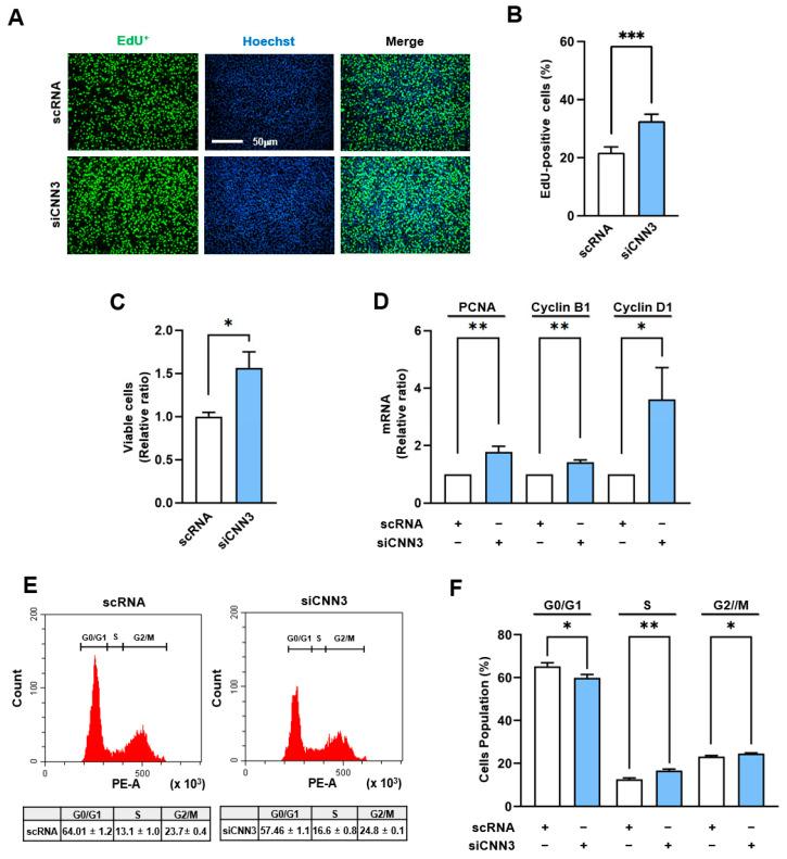 https://cdn.ncbi.nlm.nih.gov/pmc/blobs/bf83/11764405/21f18cbfb94b/cells-14-00142-g003.jpg