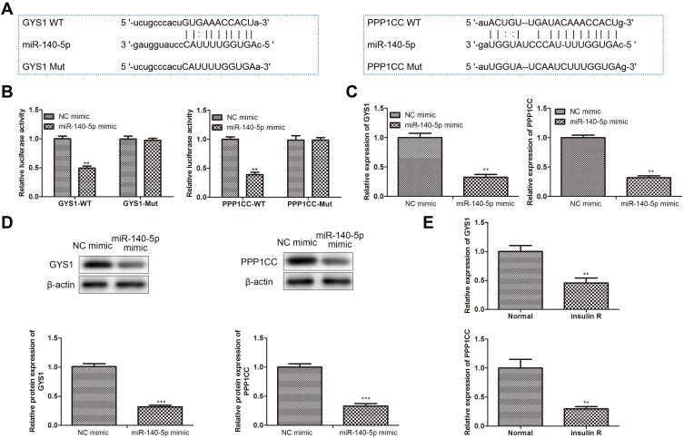 https://cdn.ncbi.nlm.nih.gov/pmc/blobs/bf90/8187005/01a7a97ab5ff/DMSO-14-2515-g0003.jpg