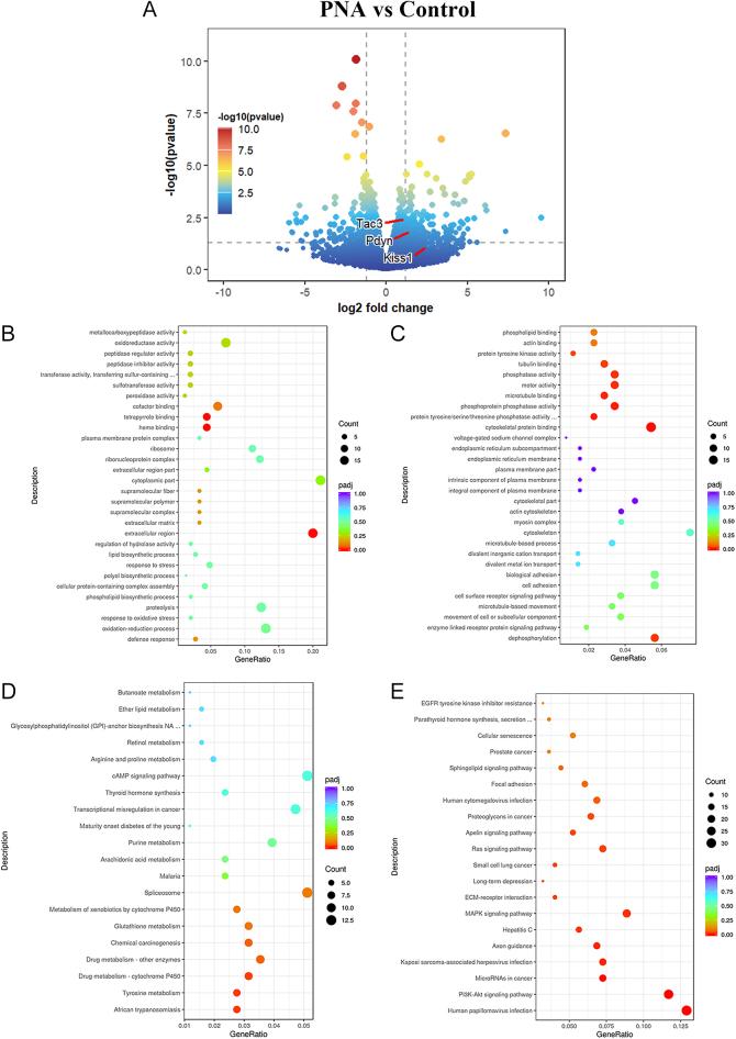 https://cdn.ncbi.nlm.nih.gov/pmc/blobs/bf9c/12278364/d39eea908879/EC-25-0209fig2.jpg
