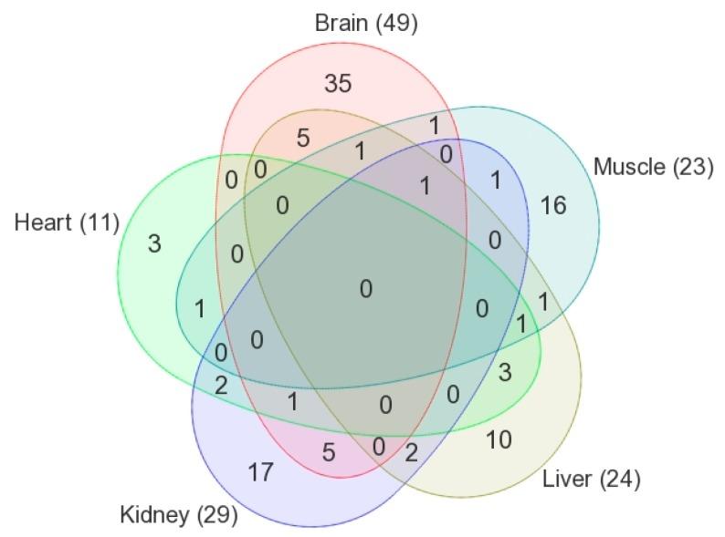 https://cdn.ncbi.nlm.nih.gov/pmc/blobs/bf9c/7074358/45f5250ac52e/metabolites-10-00042-g006.jpg