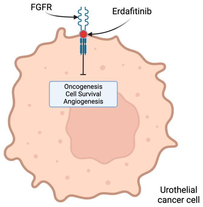 https://cdn.ncbi.nlm.nih.gov/pmc/blobs/bfb1/11054340/5a01fecd7a54/molecules-29-01896-g002.jpg