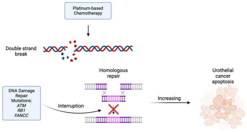 https://cdn.ncbi.nlm.nih.gov/pmc/blobs/bfb1/11054340/8c0d4a9a037b/molecules-29-01896-g001.jpg