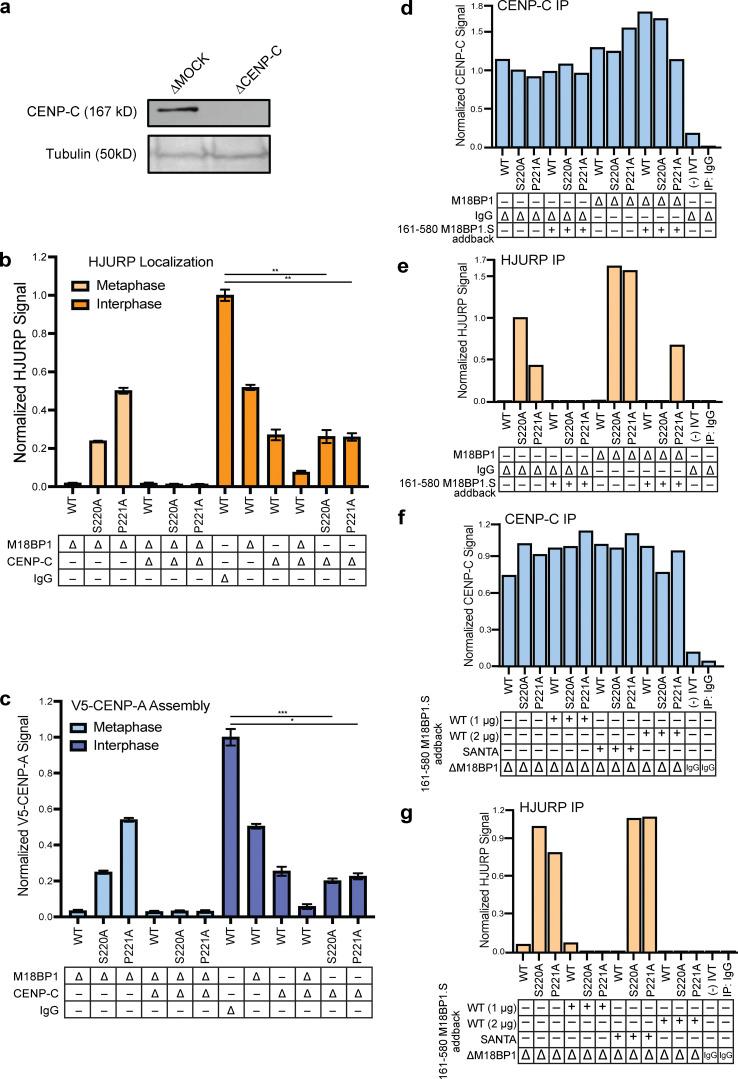 https://cdn.ncbi.nlm.nih.gov/pmc/blobs/bfbf/10165474/0669ead127b8/JCB_202110124_FigS4.jpg