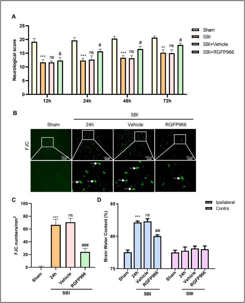 https://cdn.ncbi.nlm.nih.gov/pmc/blobs/bfdd/10395478/93ba52d61597/gr1.jpg