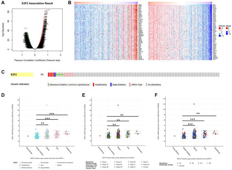 https://cdn.ncbi.nlm.nih.gov/pmc/blobs/bfe9/8202834/9e24a960ad69/aging-13-202891-g003.jpg