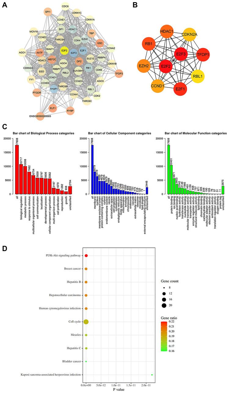 https://cdn.ncbi.nlm.nih.gov/pmc/blobs/bfe9/8202834/ce840b63e52b/aging-13-202891-g005.jpg
