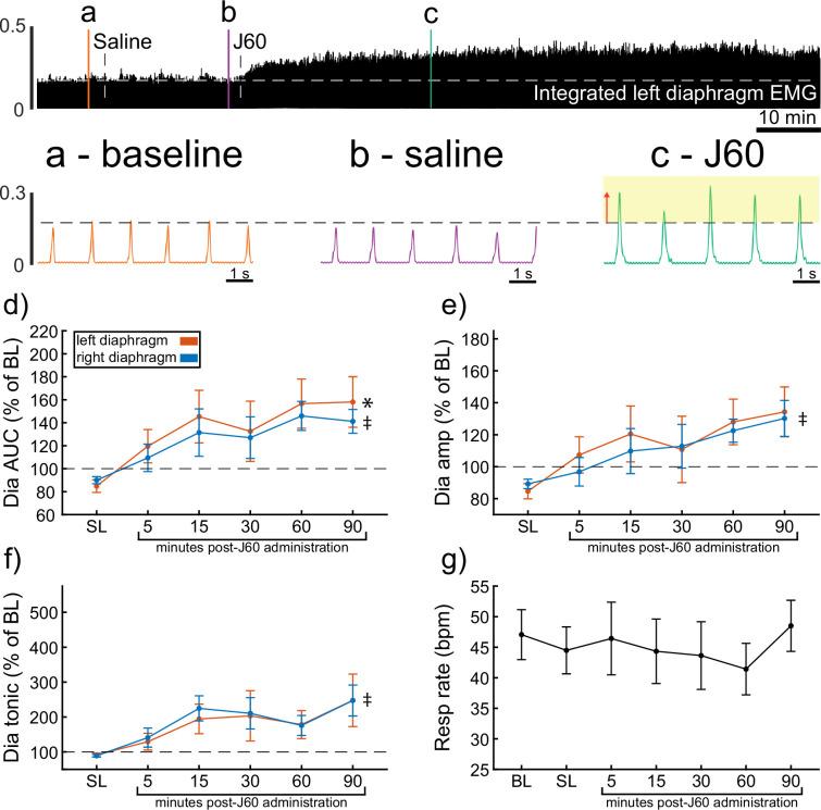https://cdn.ncbi.nlm.nih.gov/pmc/blobs/bfef/12129449/983c195ae9b5/elife-97846-fig1.jpg