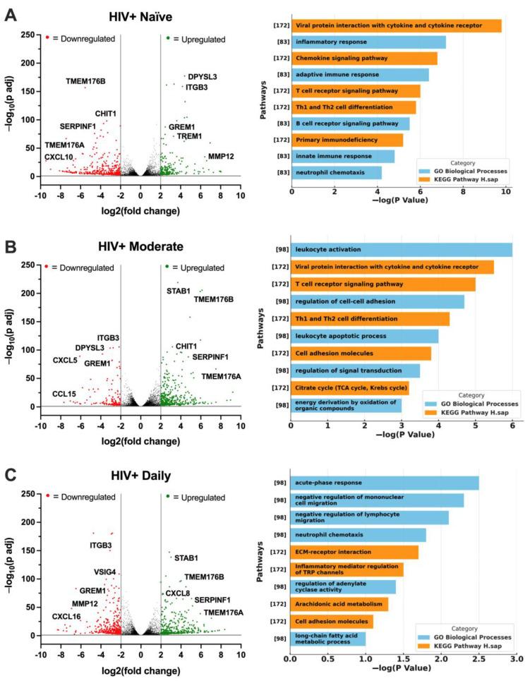 https://cdn.ncbi.nlm.nih.gov/pmc/blobs/c009/11512329/64f022e1762b/viruses-16-01509-g006a.jpg