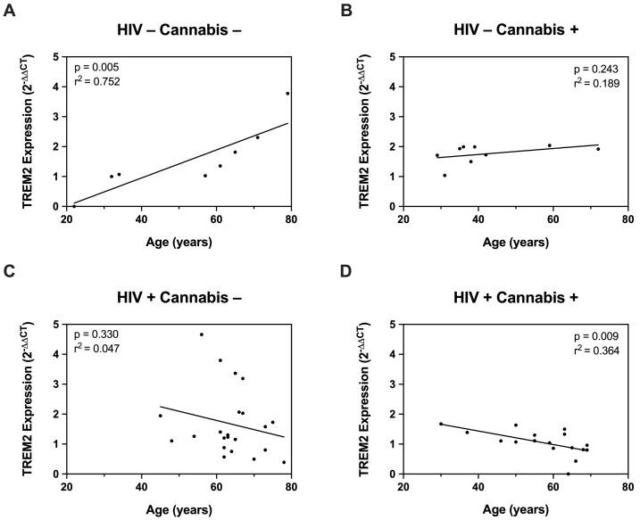 https://cdn.ncbi.nlm.nih.gov/pmc/blobs/c009/11512329/e588ad0b3926/viruses-16-01509-g004.jpg