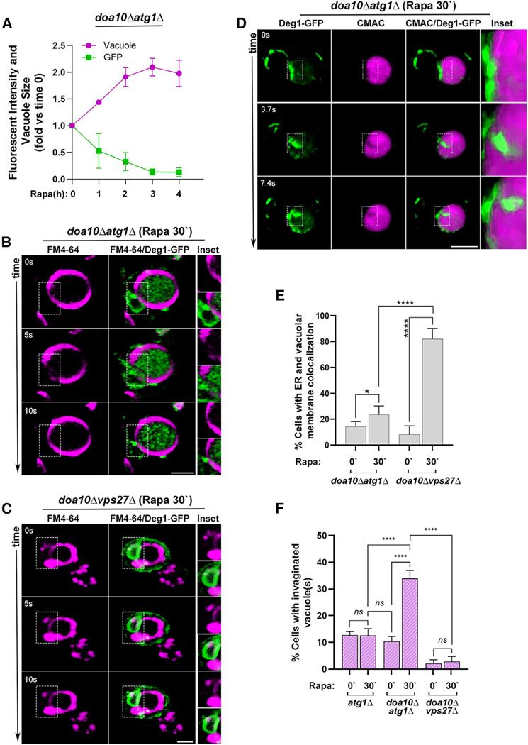 https://cdn.ncbi.nlm.nih.gov/pmc/blobs/c015/11999474/f3a2ab5e8b52/nihms-2060935-f0004.jpg