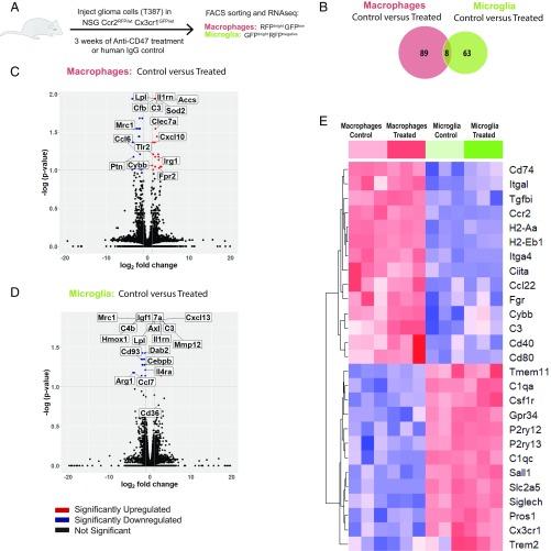 https://cdn.ncbi.nlm.nih.gov/pmc/blobs/c01a/6338872/1fb83981ff52/pnas.1721434116fig06.jpg