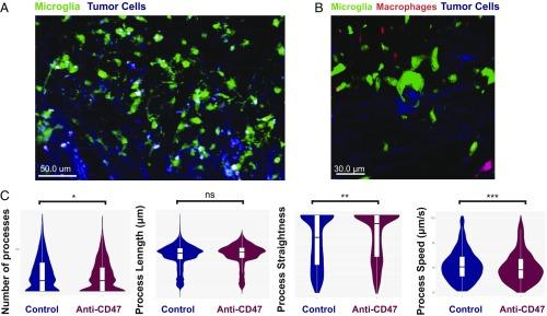 https://cdn.ncbi.nlm.nih.gov/pmc/blobs/c01a/6338872/2ff5cdc074a8/pnas.1721434116fig05.jpg