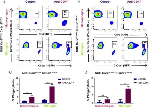 https://cdn.ncbi.nlm.nih.gov/pmc/blobs/c01a/6338872/742eaa1fa615/pnas.1721434116fig02.jpg