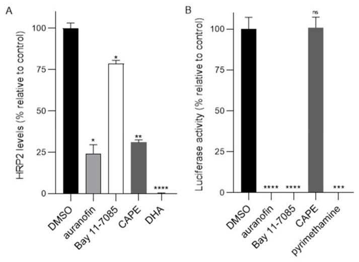 https://cdn.ncbi.nlm.nih.gov/pmc/blobs/c028/8997399/82ccd57c4a0b/cells-11-01201-g005.jpg