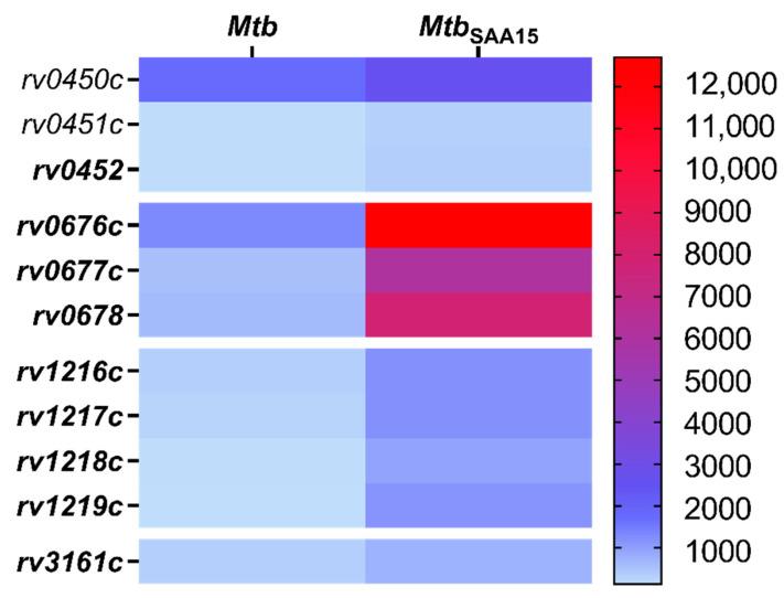 https://cdn.ncbi.nlm.nih.gov/pmc/blobs/c03e/8160739/b18672f2b479/cells-10-01264-g007.jpg