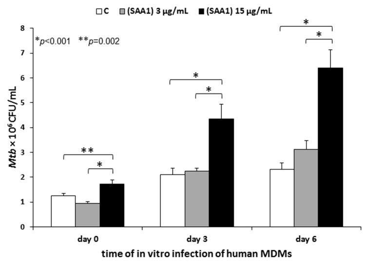 https://cdn.ncbi.nlm.nih.gov/pmc/blobs/c03e/8160739/cae1ee3071f5/cells-10-01264-g006.jpg