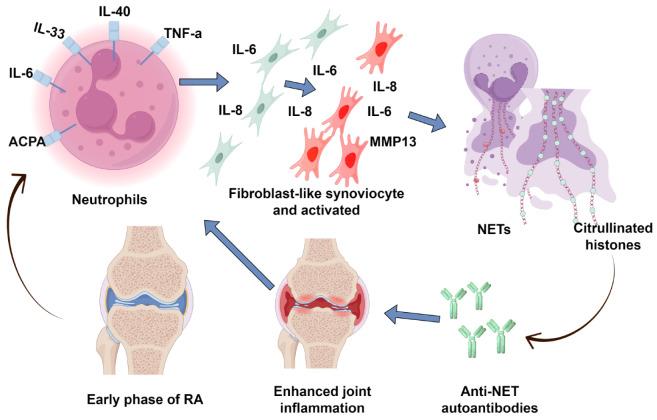 https://cdn.ncbi.nlm.nih.gov/pmc/blobs/c052/12146969/bdd281762d40/106377-g003.jpg