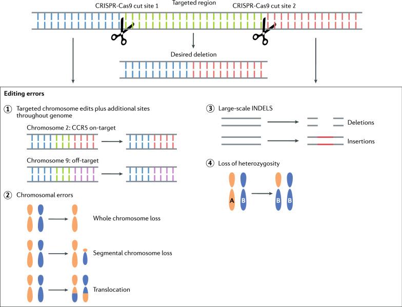 https://cdn.ncbi.nlm.nih.gov/pmc/blobs/c05a/9364579/8f3139397df3/12977_2022_604_Fig2_HTML.jpg