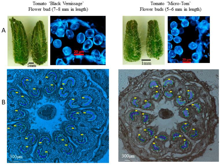https://cdn.ncbi.nlm.nih.gov/pmc/blobs/c086/12015871/27c3bebf19be/proteomes-13-00013-g002.jpg