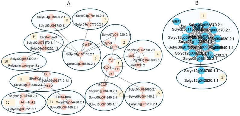 https://cdn.ncbi.nlm.nih.gov/pmc/blobs/c086/12015871/31bdf7c01433/proteomes-13-00013-g005a.jpg