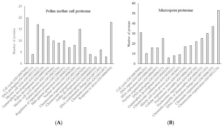 https://cdn.ncbi.nlm.nih.gov/pmc/blobs/c086/12015871/9ee3c7e43bcf/proteomes-13-00013-g003.jpg