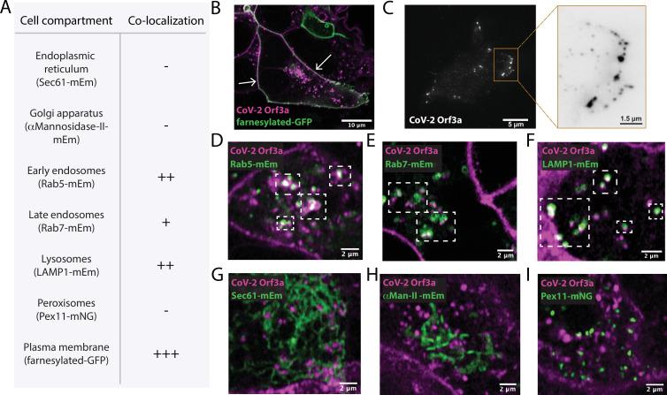 https://cdn.ncbi.nlm.nih.gov/pmc/blobs/c096/9910834/0dde86405caf/elife-84477-fig1.jpg