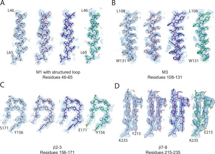 https://cdn.ncbi.nlm.nih.gov/pmc/blobs/c096/9910834/55c9c60c3c87/elife-84477-fig3-figsupp5.jpg