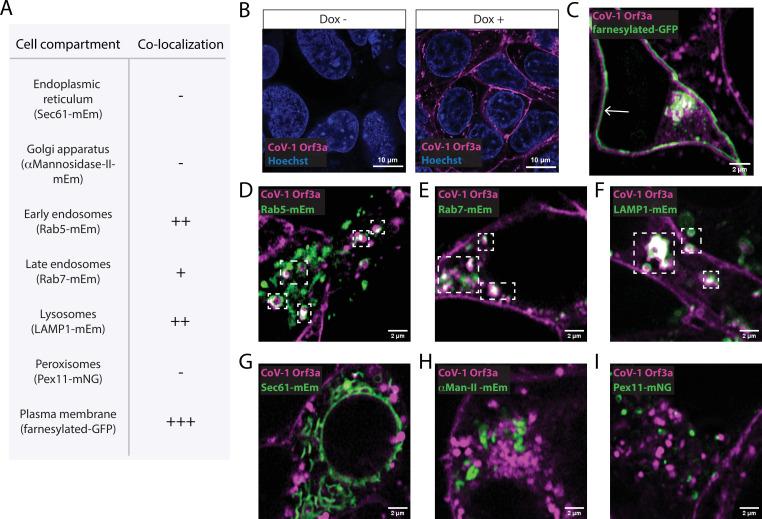 https://cdn.ncbi.nlm.nih.gov/pmc/blobs/c096/9910834/6203c367c072/elife-84477-fig1-figsupp2.jpg