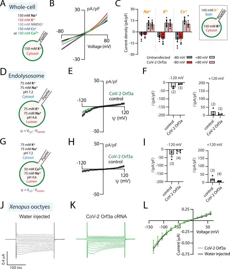 https://cdn.ncbi.nlm.nih.gov/pmc/blobs/c096/9910834/873c8fc6028a/elife-84477-fig2.jpg