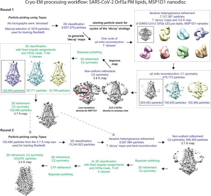 https://cdn.ncbi.nlm.nih.gov/pmc/blobs/c096/9910834/d4c4e09f3583/elife-84477-fig3-figsupp4.jpg