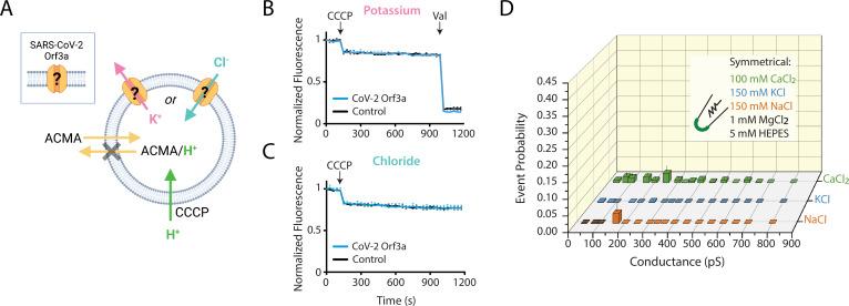 https://cdn.ncbi.nlm.nih.gov/pmc/blobs/c096/9910834/e76d287e339a/elife-84477-fig5.jpg
