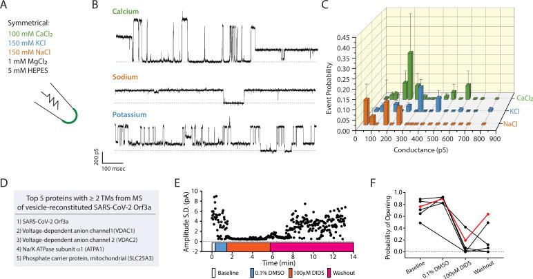https://cdn.ncbi.nlm.nih.gov/pmc/blobs/c096/9910834/fb4764f4e95a/elife-84477-fig5-figsupp2.jpg