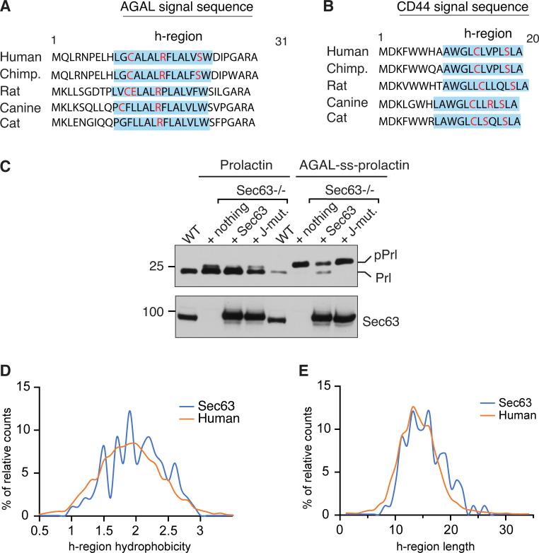 https://cdn.ncbi.nlm.nih.gov/pmc/blobs/c0a1/9723807/419bdab99d1b/JCB_202203070_FigS3.jpg