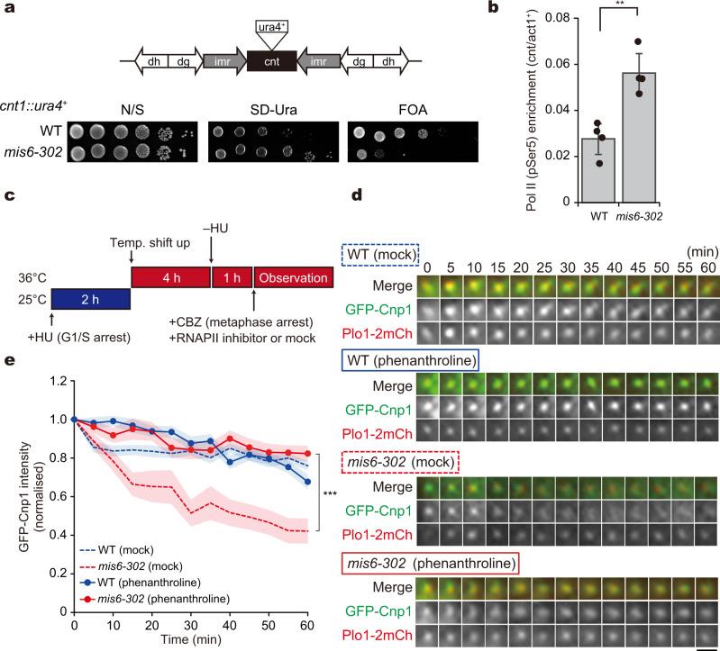 https://cdn.ncbi.nlm.nih.gov/pmc/blobs/c0a8/9378642/af9dcbb9de01/42003_2022_3786_Fig4_HTML.jpg