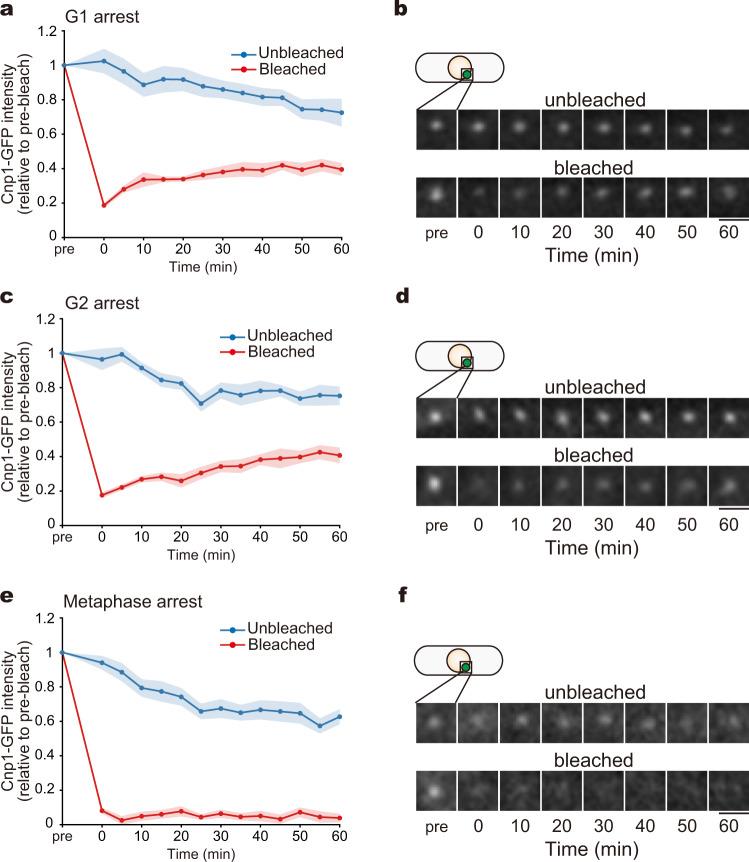 https://cdn.ncbi.nlm.nih.gov/pmc/blobs/c0a8/9378642/bc8763552038/42003_2022_3786_Fig1_HTML.jpg