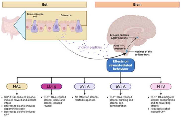 https://cdn.ncbi.nlm.nih.gov/pmc/blobs/c0aa/12292612/d5bbe9150210/biomedicines-13-01516-g002.jpg
