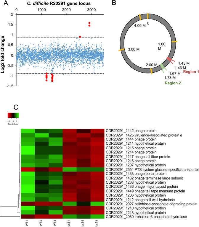 https://cdn.ncbi.nlm.nih.gov/pmc/blobs/c0ab/6616478/04b737277773/41598_2019_46143_Fig2_HTML.jpg