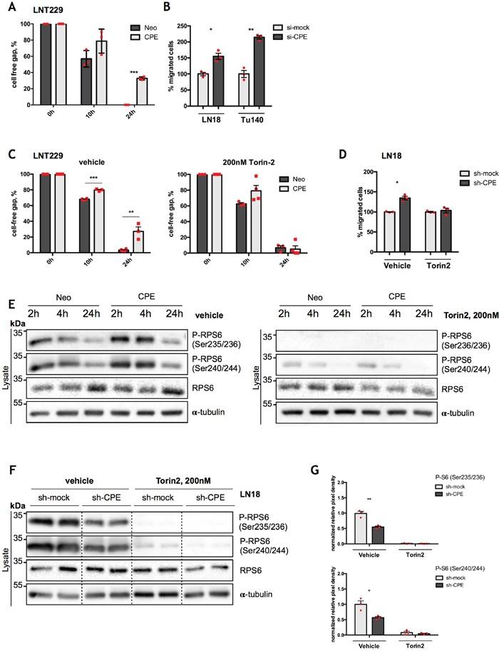https://cdn.ncbi.nlm.nih.gov/pmc/blobs/c0ae/5620194/3427e34df010/oncotarget-08-67567-g005.jpg