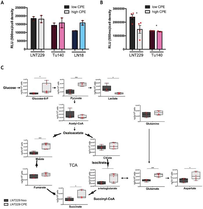 https://cdn.ncbi.nlm.nih.gov/pmc/blobs/c0ae/5620194/dc8f1a0a8304/oncotarget-08-67567-g004.jpg