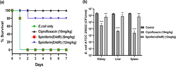 https://cdn.ncbi.nlm.nih.gov/pmc/blobs/c0c5/12183615/49941bf7df42/bg4c00119_0008.jpg