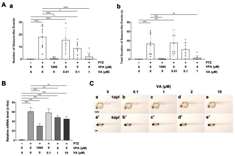 https://cdn.ncbi.nlm.nih.gov/pmc/blobs/c0ce/11173475/25fd2d3f2892/molecules-29-02572-g001.jpg